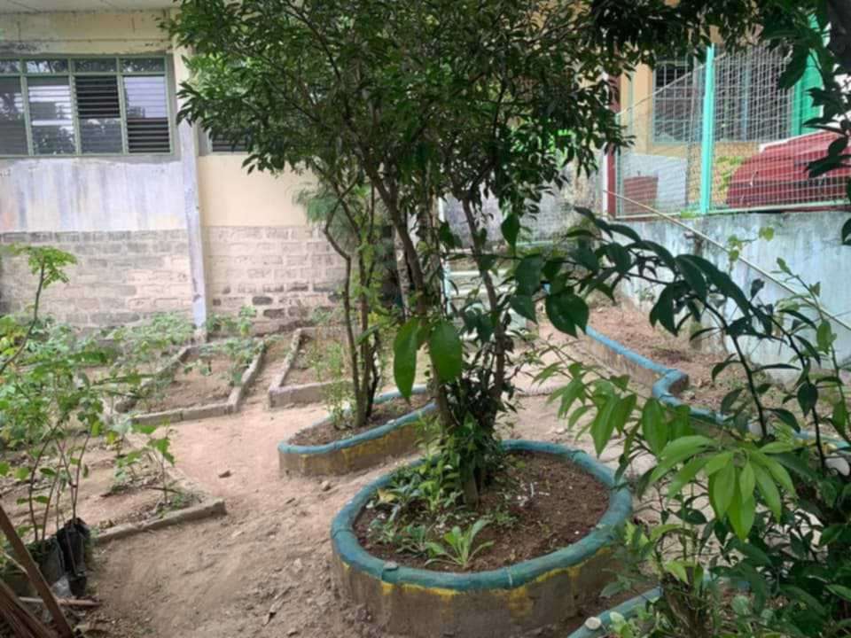 How Andres High Integrated Agriculture in Curriculum and Made a Flourishing School Garden 8 462541183 1250497736284161 6010603976318392703 n