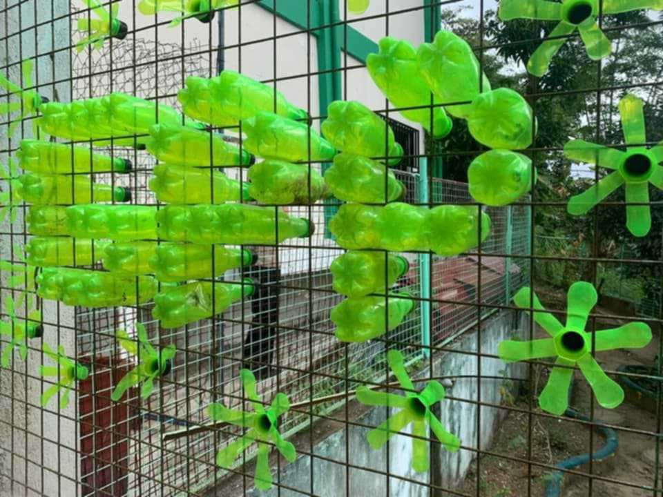 How Andres High Integrated Agriculture in Curriculum and Made a Flourishing School Garden 5 462541202 532842146343368 6649878851121077057 n