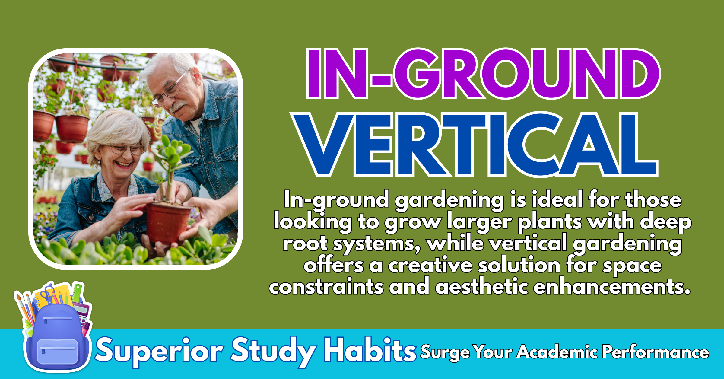 In-ground or Vertical Gardening: Which One is Right for Filipino Plant Lovers?