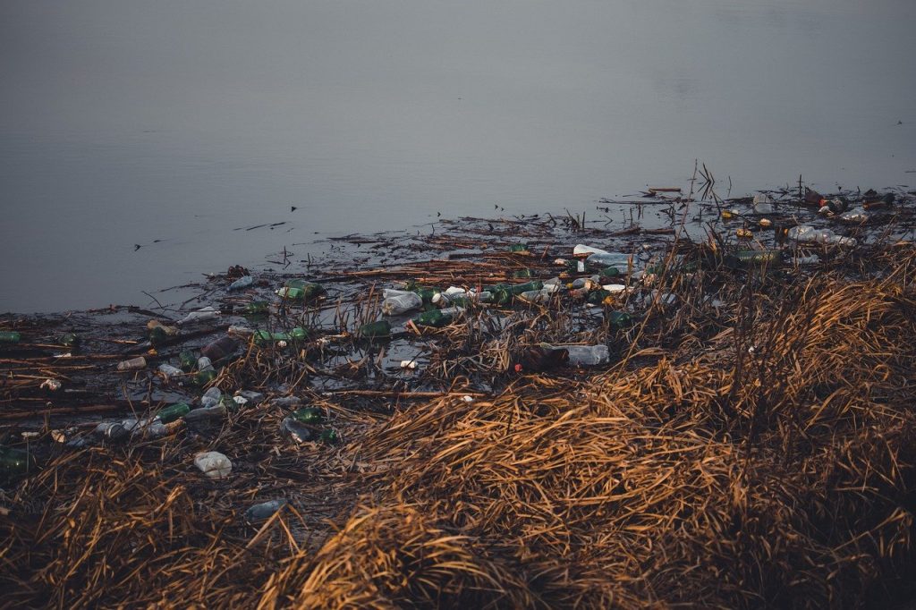 Beware: These Dangerous Bacteria, Virus, Parasites in Waters Crush Swimmers' Health 5 dangerous bacteria, virus, parasites