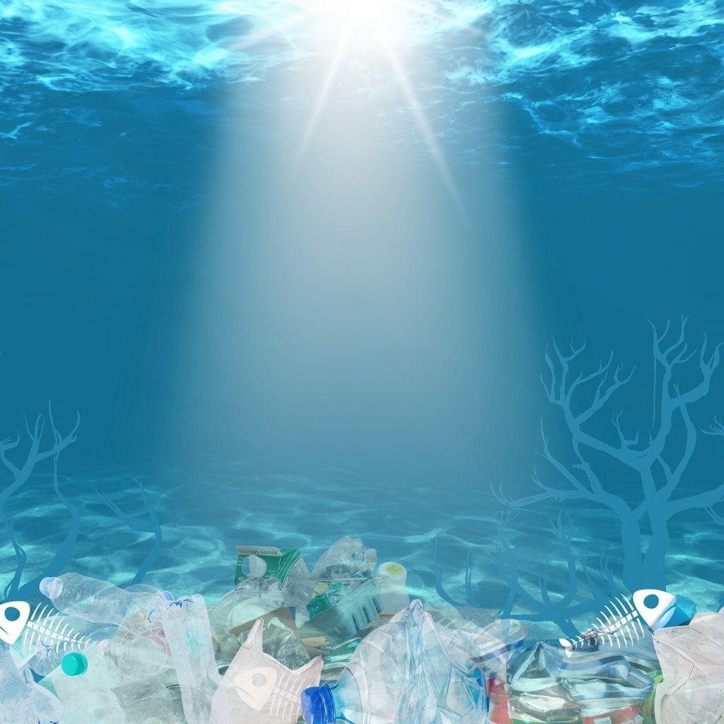 Here is A Stern Warning from Scientists Re Microplastics: "We have until 2030" 8 plastic waste 7617454 1280