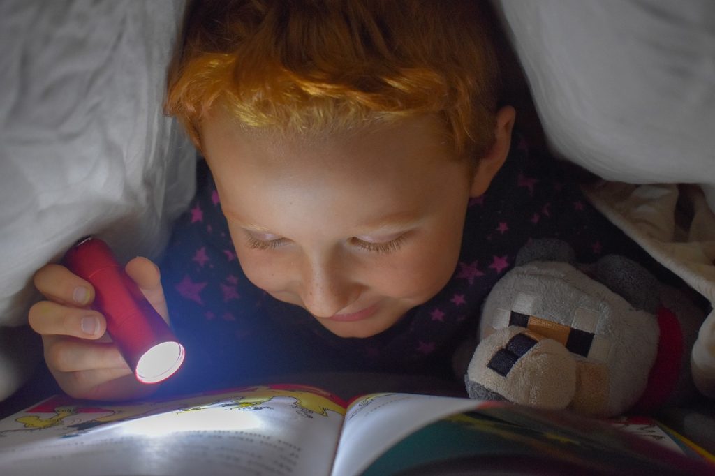 Should You Be Practicing Speed Reading Technique? Student with High IQ Does 7 reading 5069826 1280