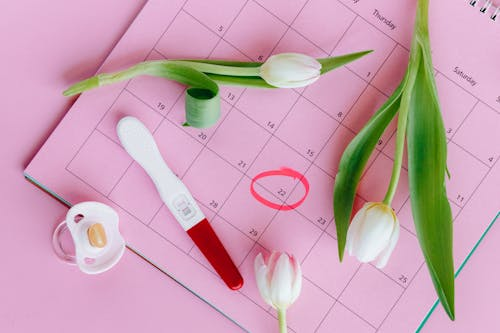 How to Get Rid of Early Pregnancies, Sexually Transmitted Diseases, Gender Neutrality? 5 image 15