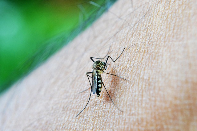 DepEd reveals remarkable, stronger safety measures for heat dengue and volcano eruption 7 image 29