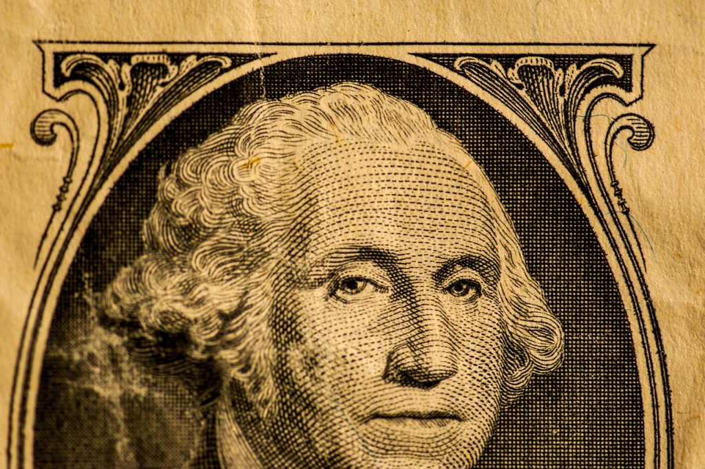 money, currency, finance, rich, business, george washington, dollars, revenue, budget, wealth, coin, brown money, brown finance, george washington, george washington, george washington, george washington, george washington