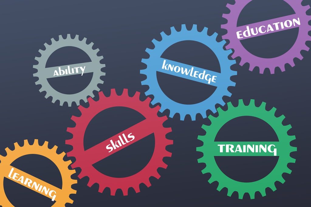school, education, skills, job, knowledge, can, training, to learn, work out, skill, craftsmanship, business, strategy, skills, skills, skills, skills, skills, skill