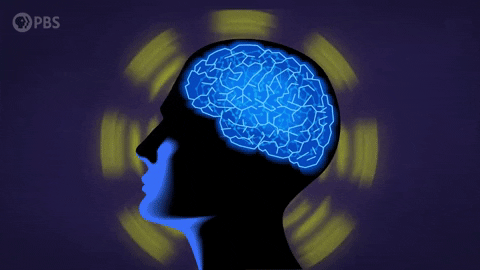 pbsdigitalstudios smells senses sensory adaptation