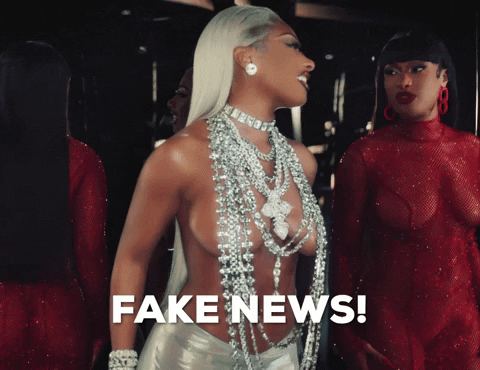 theestallion megan thee stallion hiss