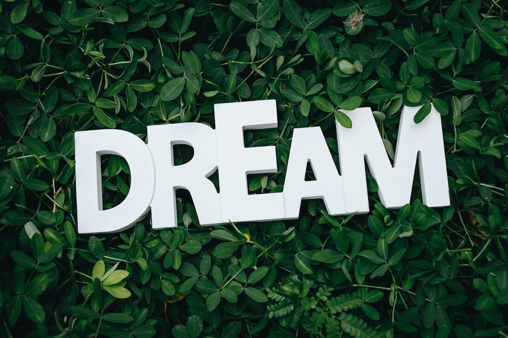 Tribe's 1st Teachers! These 2 Ethnic Tribe Members Draw Online Praises for Chasing Dreams - Future Educators 5 Word 'Dream' in white letters on lush green leaves, symbolizing growth and inspiration.