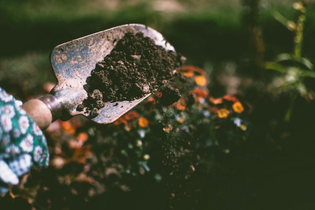 In-ground or Vertical Gardening: Which One is Right for Filipino Plant Lovers? 5 Close-up of a gardening shovel with soil, surrounded by vibrant blooms in an outdoor garden setting.