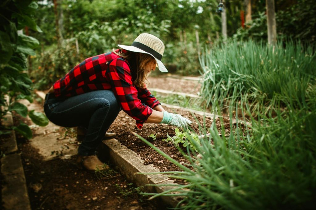 How Andres High Integrated Agriculture in Curriculum and Made a Flourishing School Garden 7 A woman in a hat and plaid shirt gardening outdoors in a lush vegetable patch.
