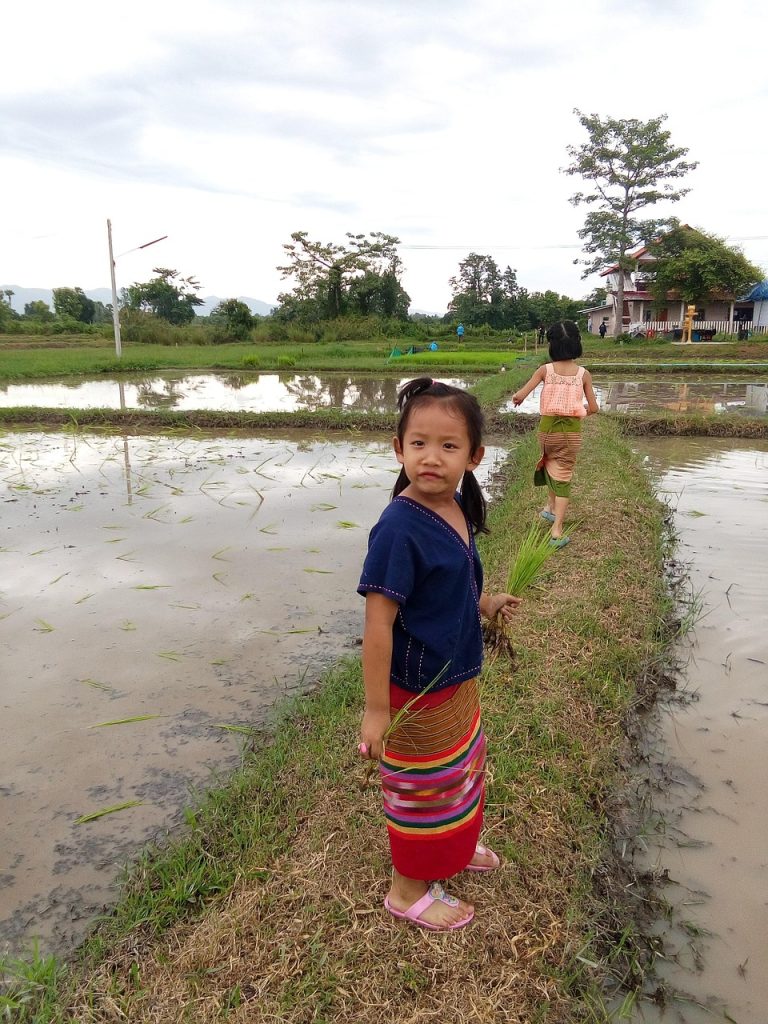 Agriculturists Licensure Examination ALE Guide and Results 3 farmer, the peasant, peasantry, plowman, agriculturist, ploughman, planter, grower, horticulturist, gardener, child, young, kid, juvenile, kiddy, wean