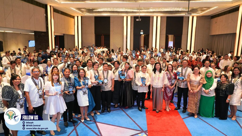 550303233 1233546632144618 3396612029926947373 n